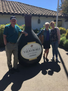 Colchagua Valley and Santa Cruz