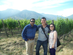 Colchagua Wine Tour