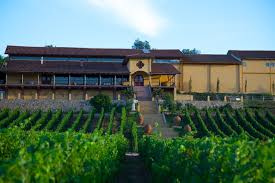 Santa Cruz Wine Tour